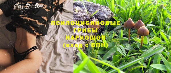 прущая мука Медногорск